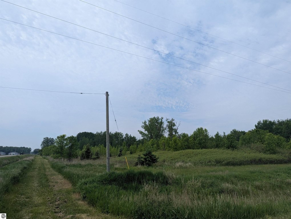 Picture 5