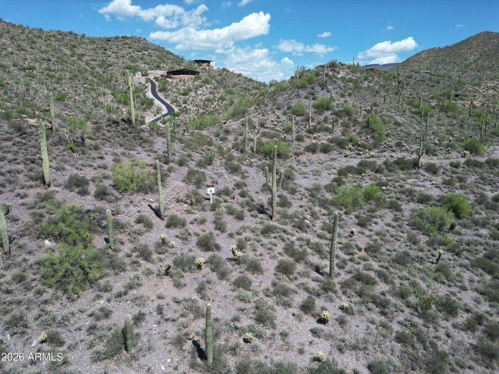 Picture 13
