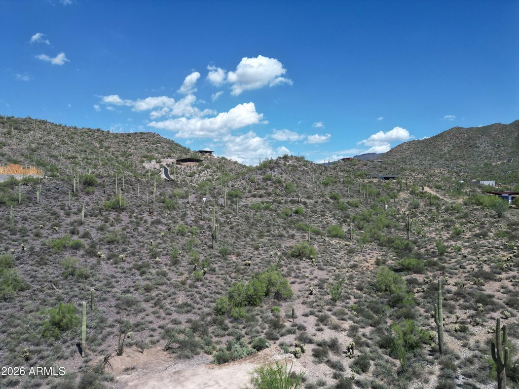 Picture 14