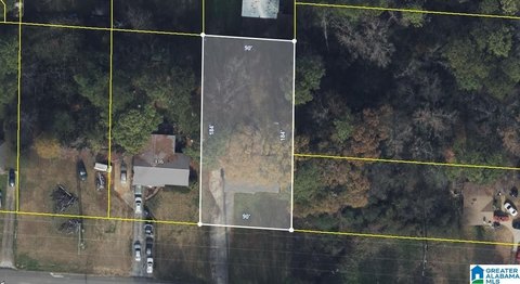 Residential Lot in Birmingham Neighborhood