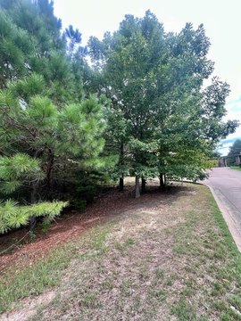 LAND - OXFORD, MS