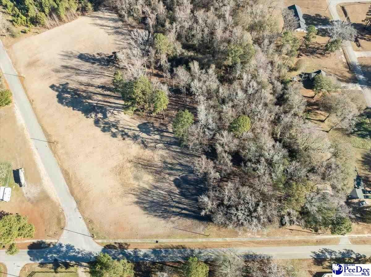 Residential Lots in Turbeville, SC