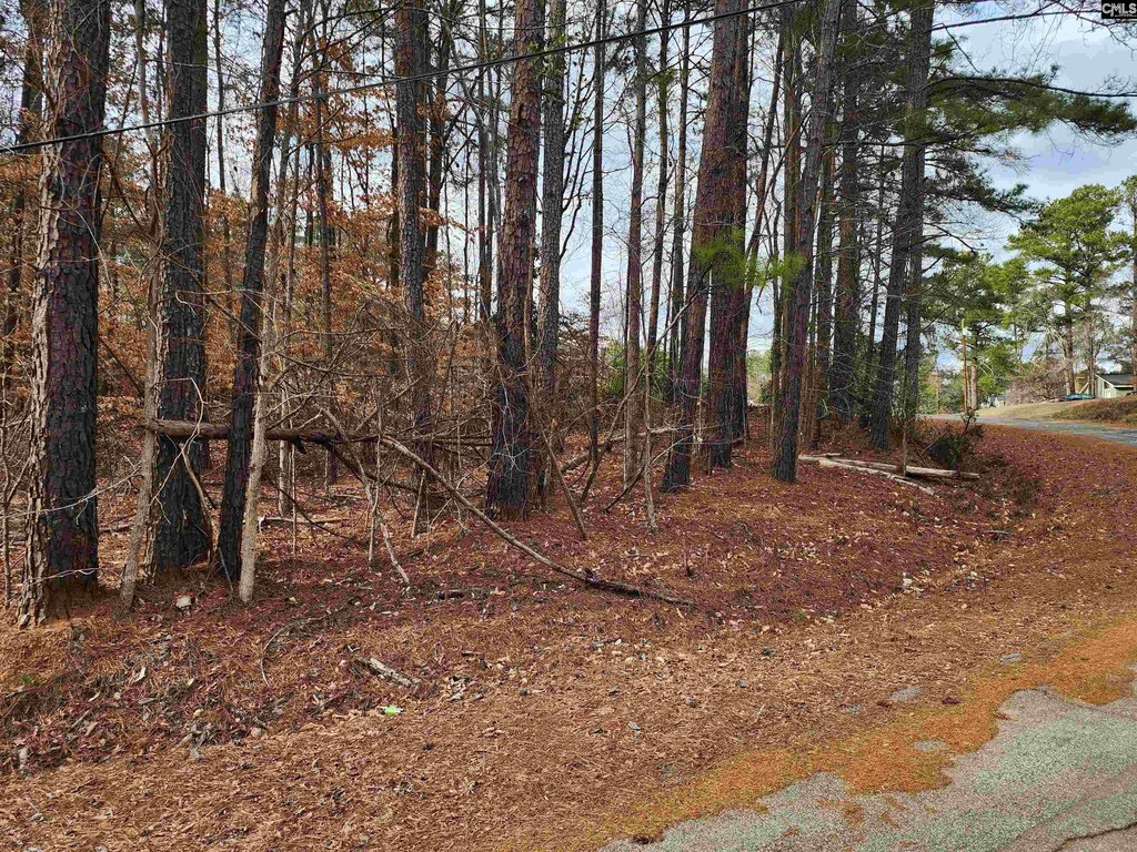 Picture 3