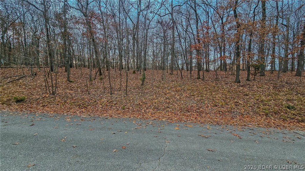 Picture 2
