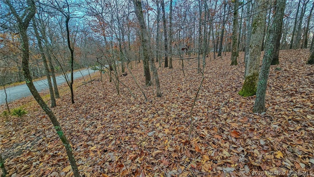 Picture 4
