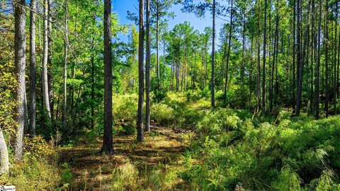 Lots/Land, Easley, SC