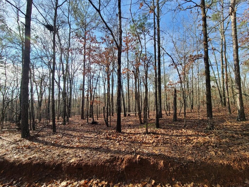 Residential Lot in Oak Mountain