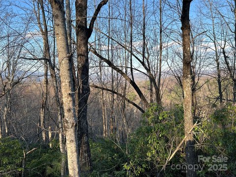 LAND - Brevard, NC