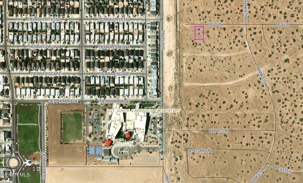 Picture 6