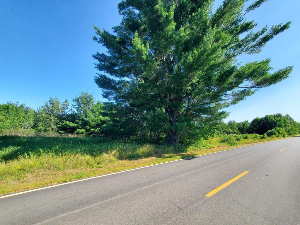 Picture 29