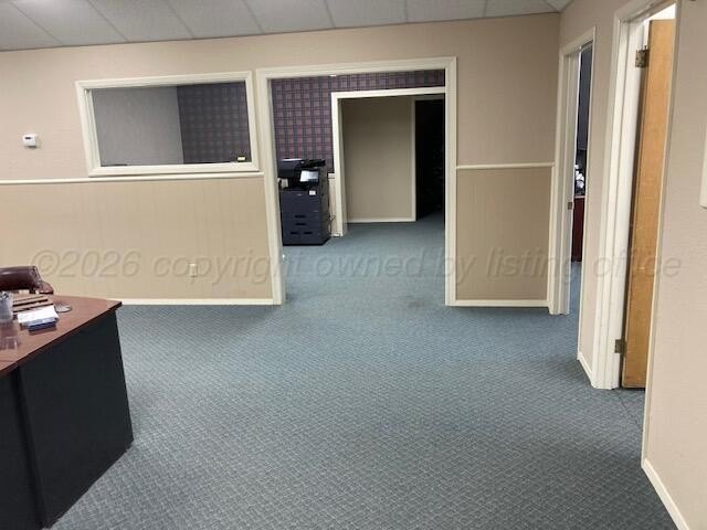 Picture 8