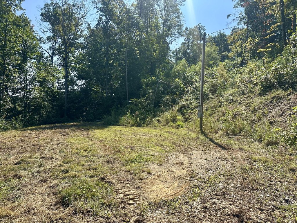 Picture 18