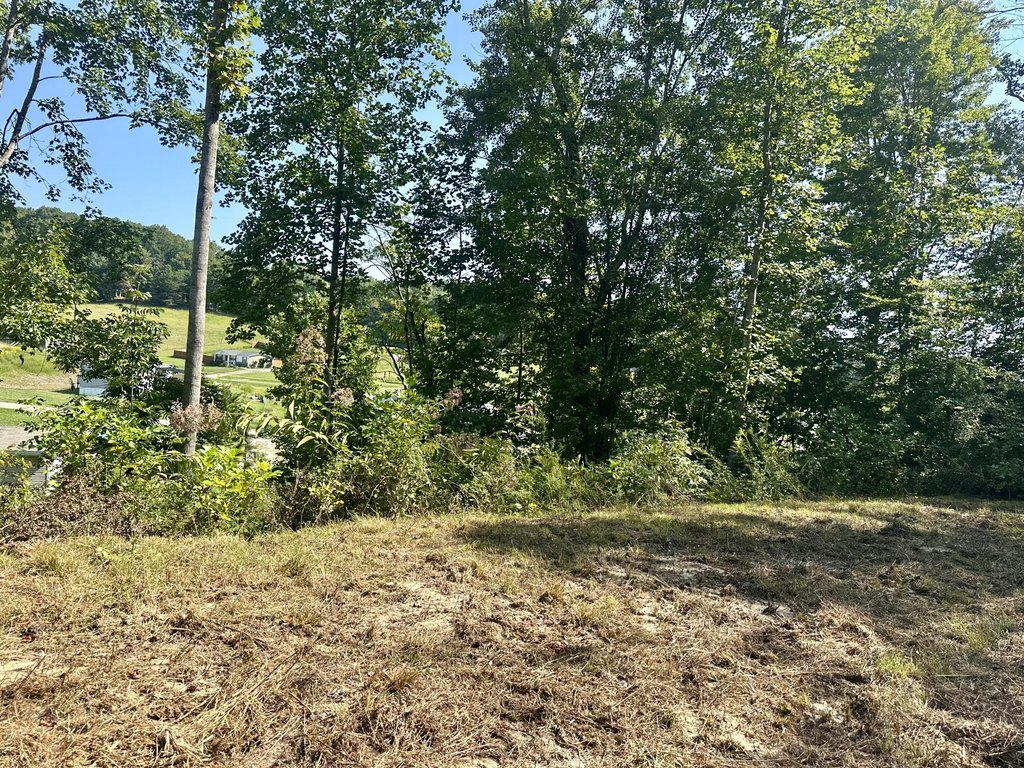 Picture 9