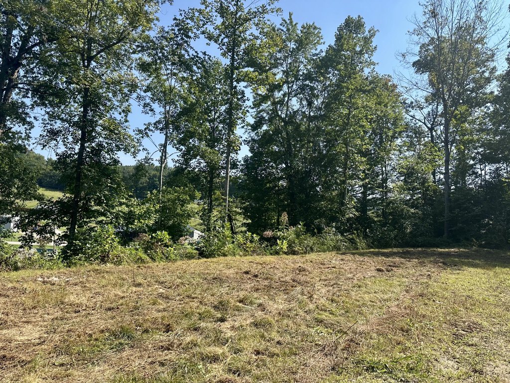 Picture 17