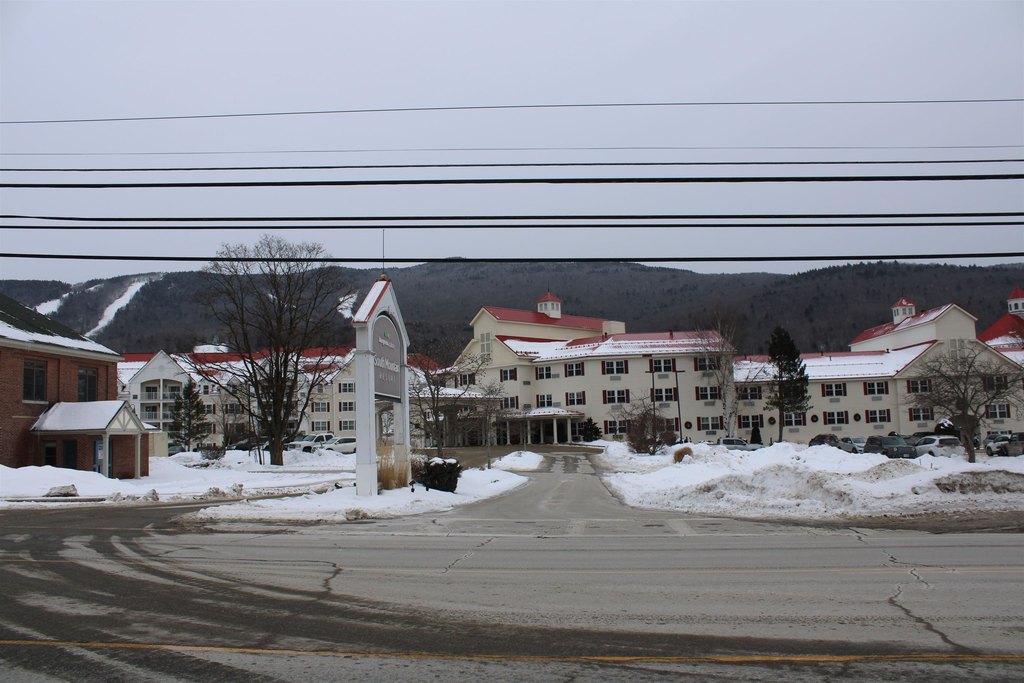 Picture 8