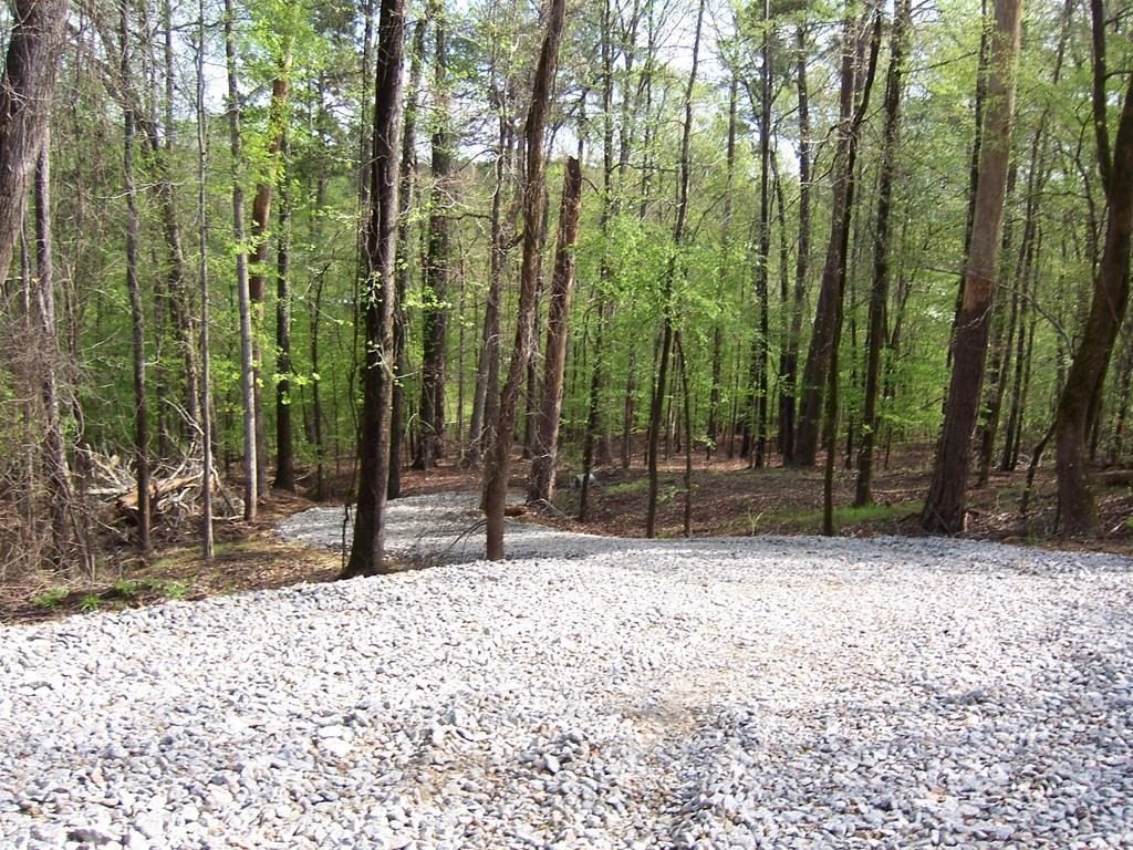 Picture 3