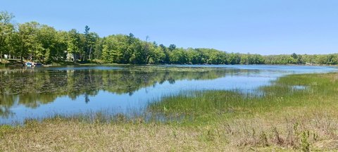 8-Acre Wooded Waterfront Land