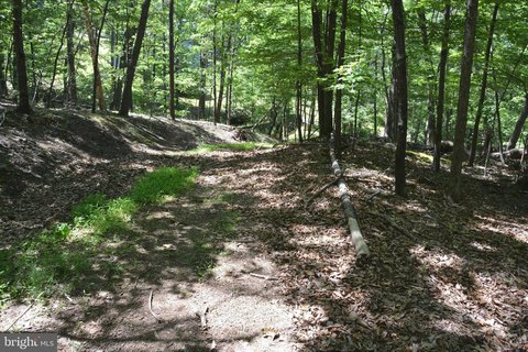 Secluded Cabin on Wooded Acreage