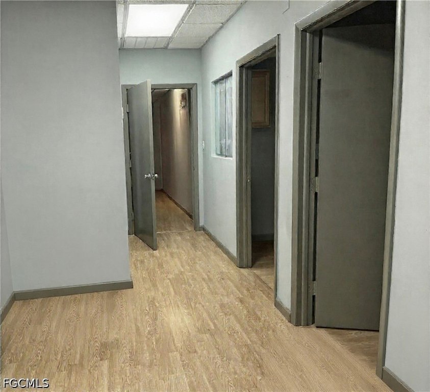 Picture 7
