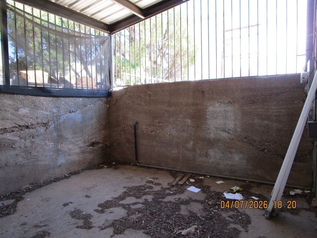 Picture 11