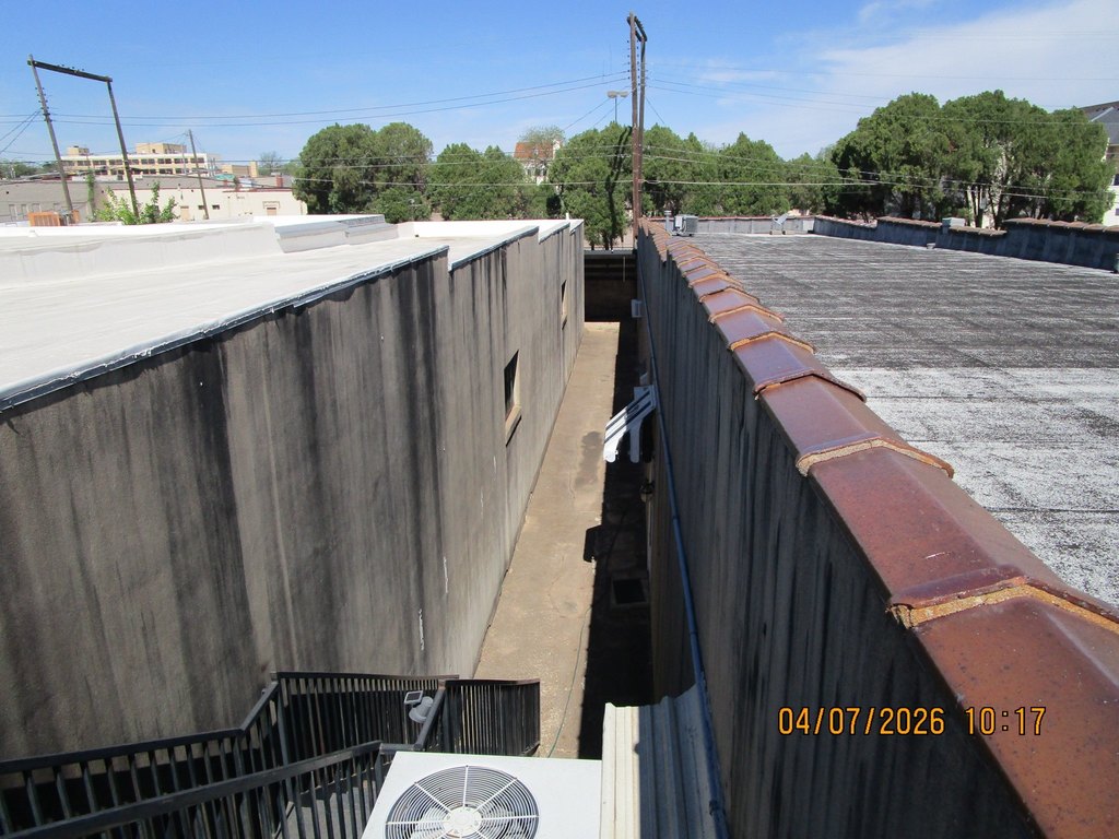 Picture 8