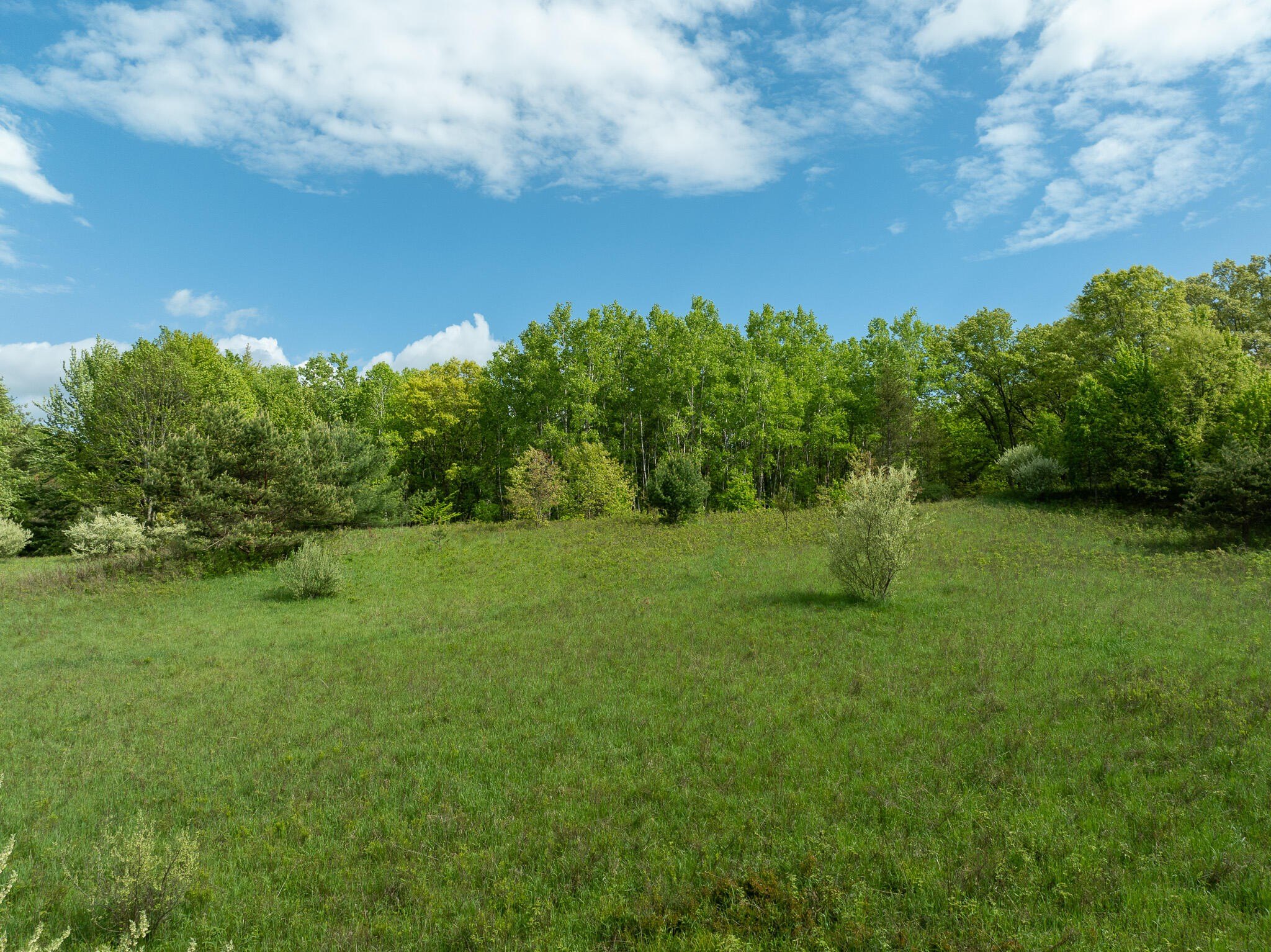 80 Acres Northwest of Reed City