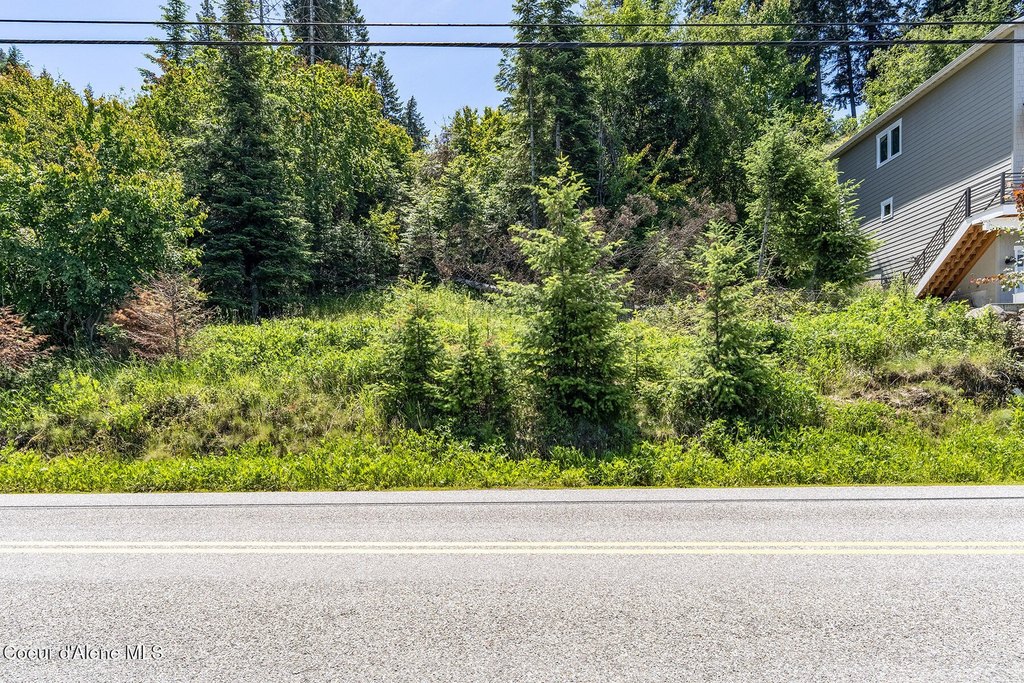 Picture 8