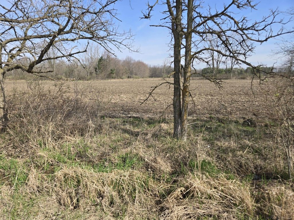Picture 6