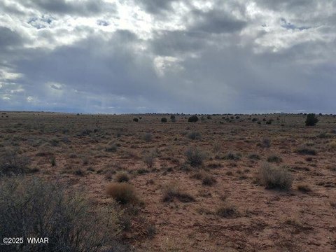 40+ Acre Ranch/Farm Land