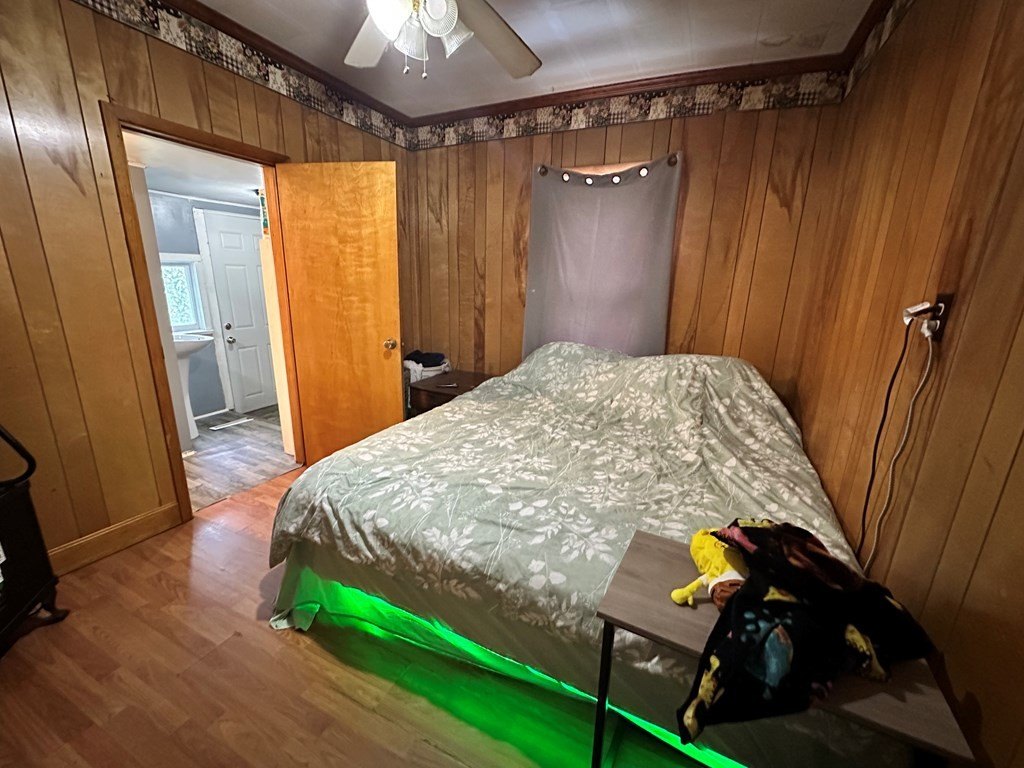 Picture 15