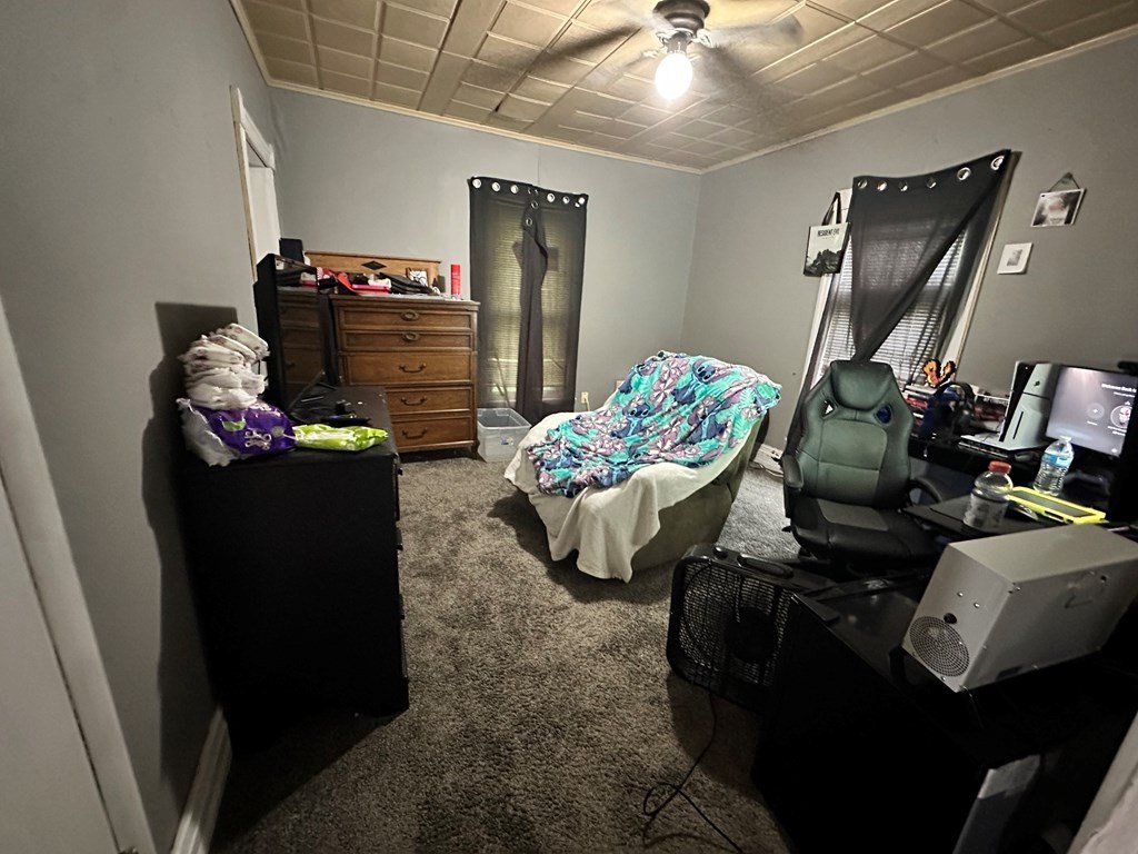Picture 20