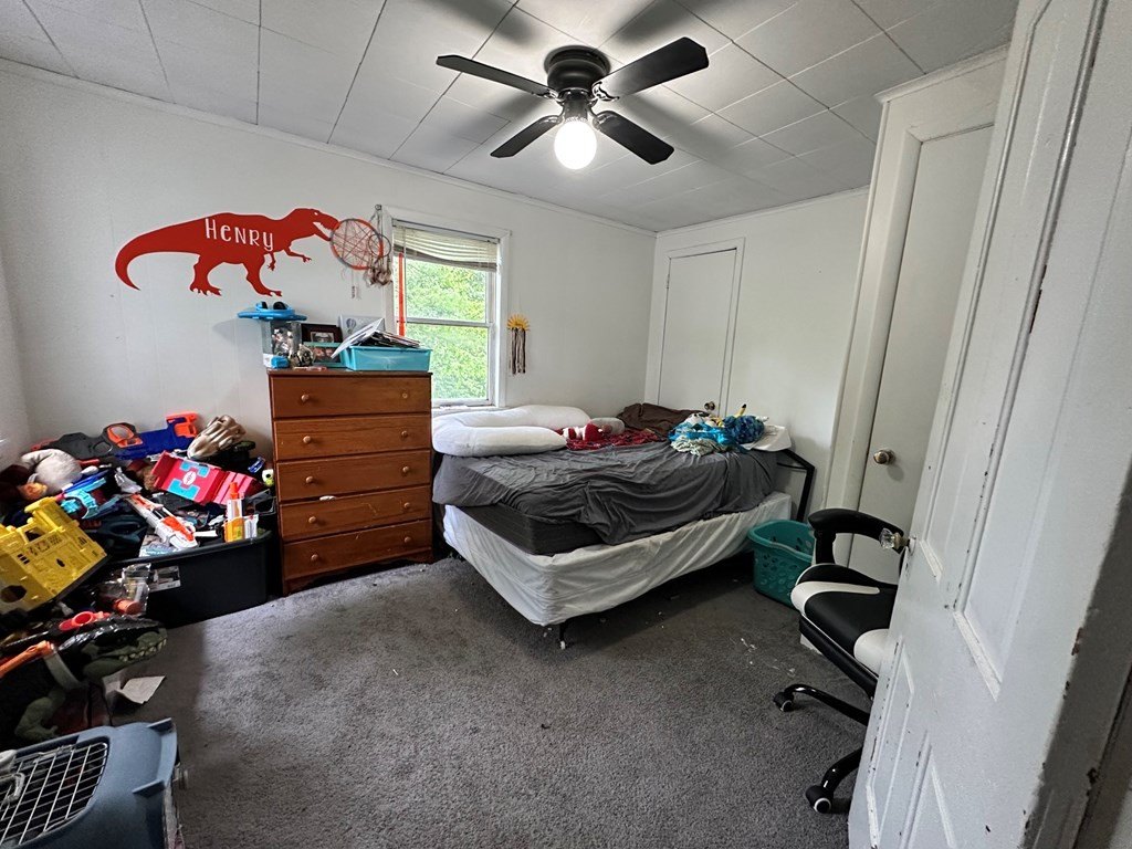 Picture 23