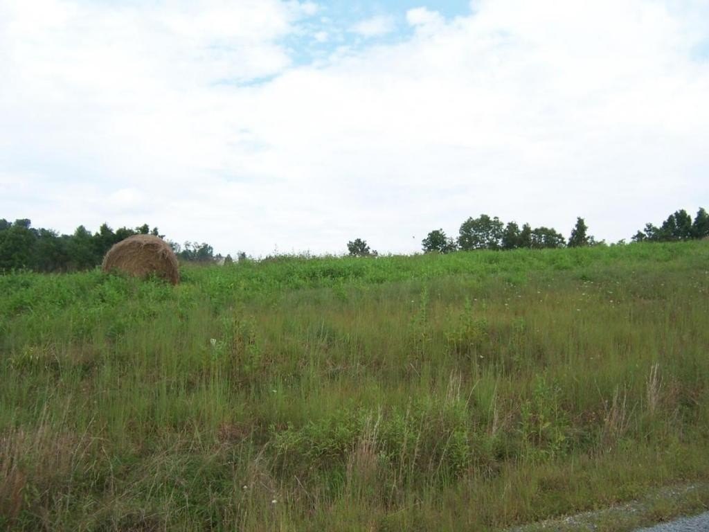 Waterfront Building Lots on South Holston