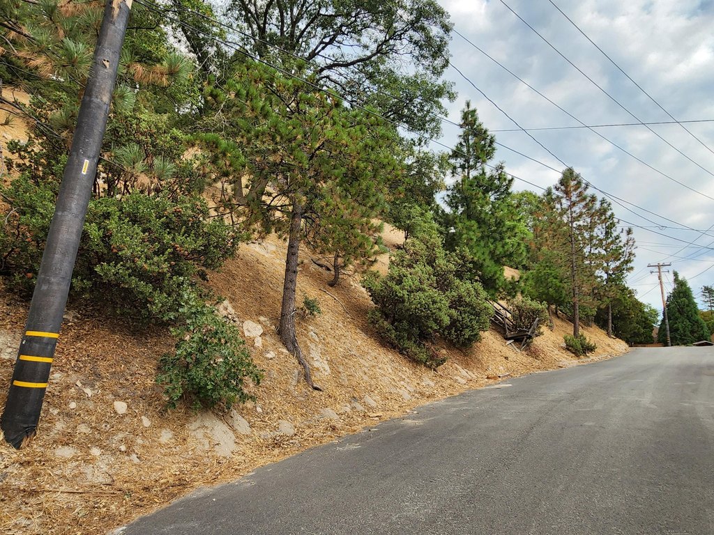 Picture 5
