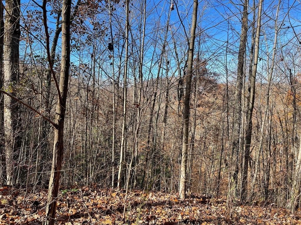 Hayesville Vacant Land in Community