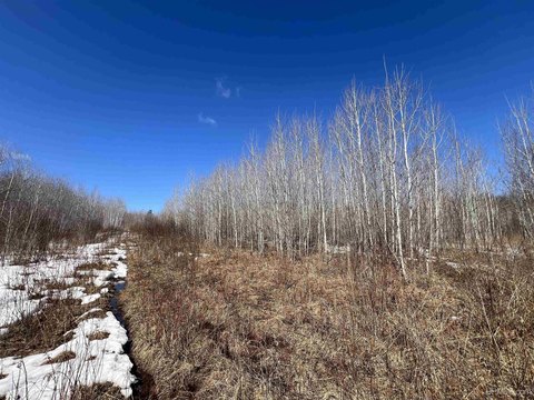 Secluded 16-Acre Parcel in Michigan
