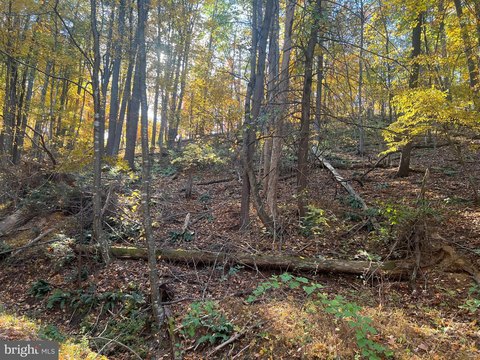 Bryce Resort Building Lot