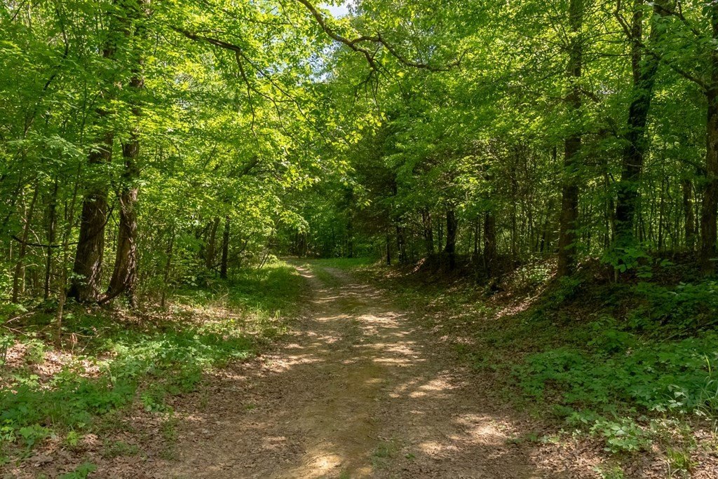 Picture 23