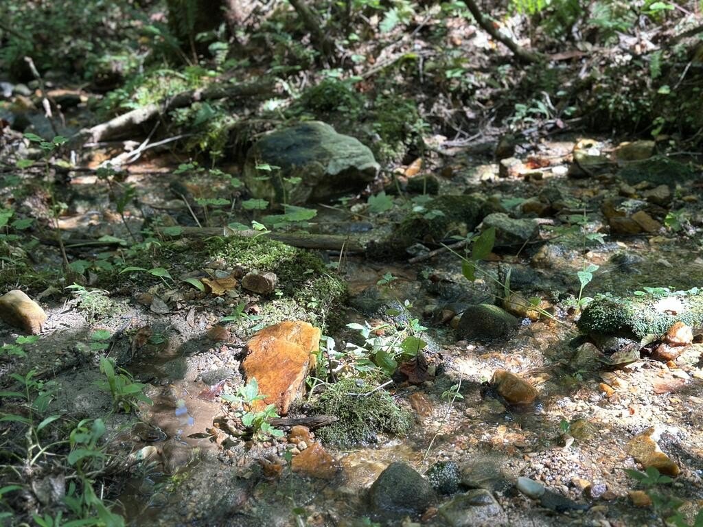 Picture 14