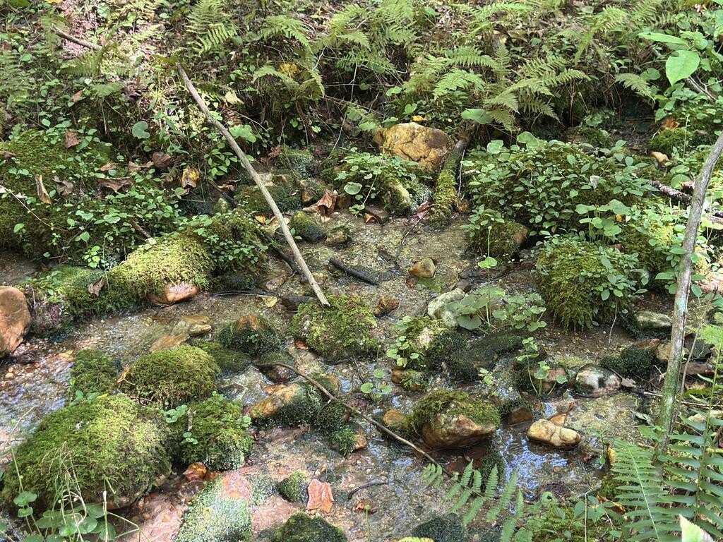 Picture 15