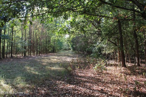 Land, Nesbit, MS