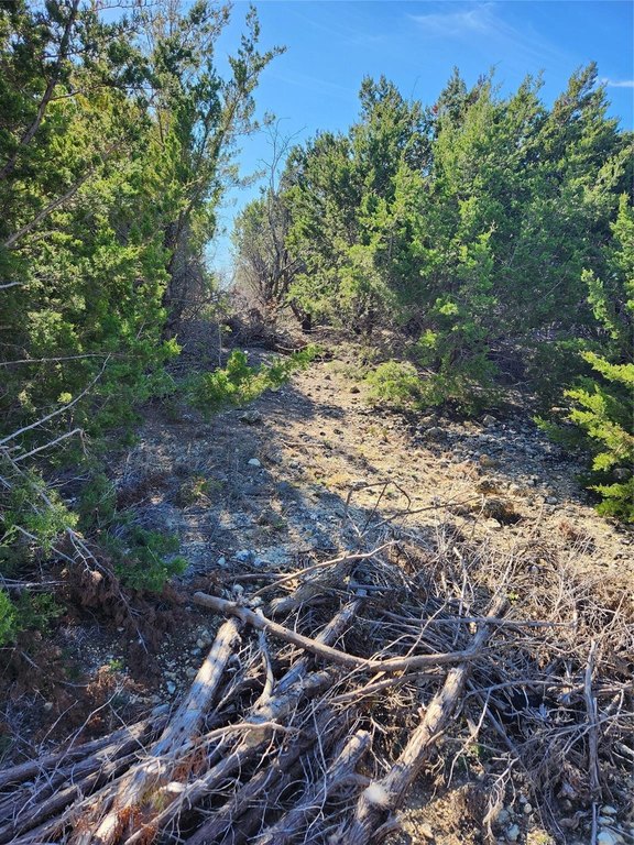 Picture 15