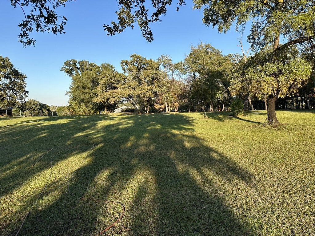 Picture 16