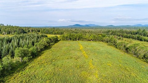 Adirondack Land with Building Rights