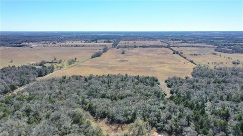 Versatile Texas Land with Potential