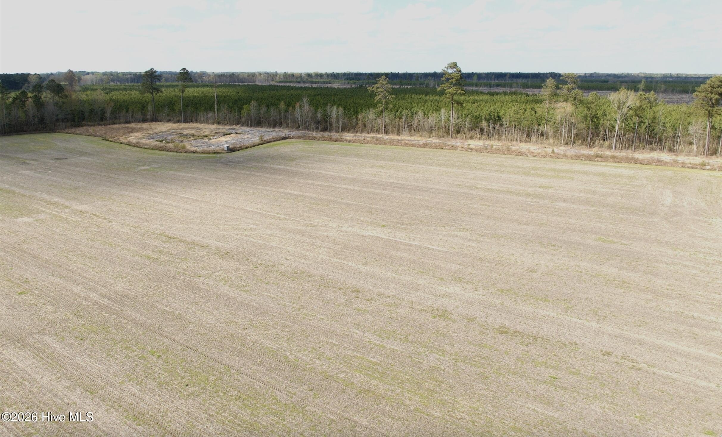 Farmland and Timber Investment Opportunity