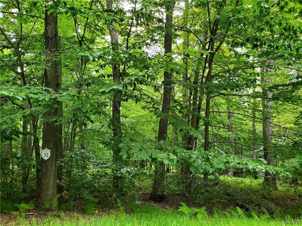 Wooded Lot in Tall Oaks