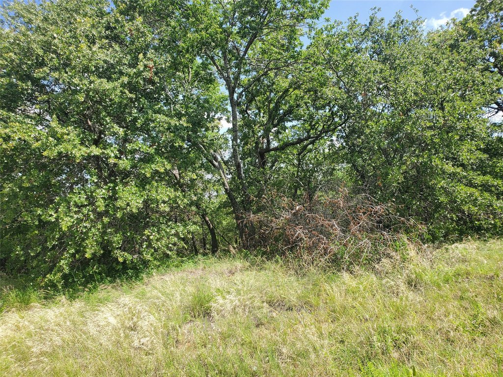 Picture 7