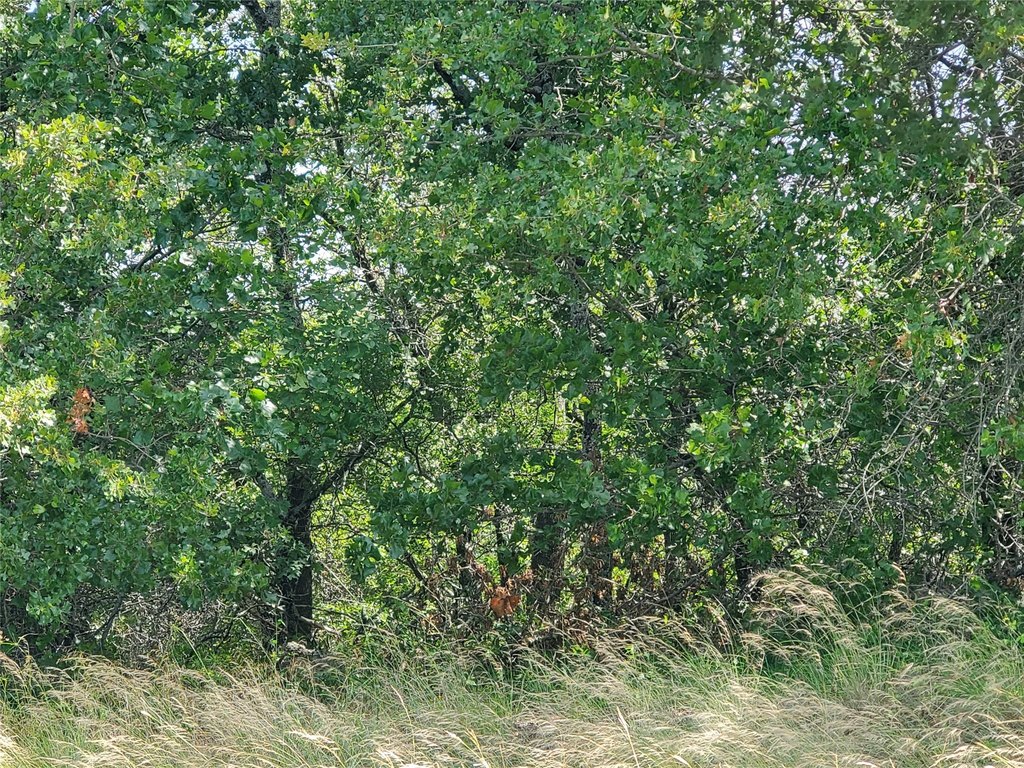 Picture 8