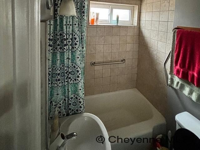 Picture 13